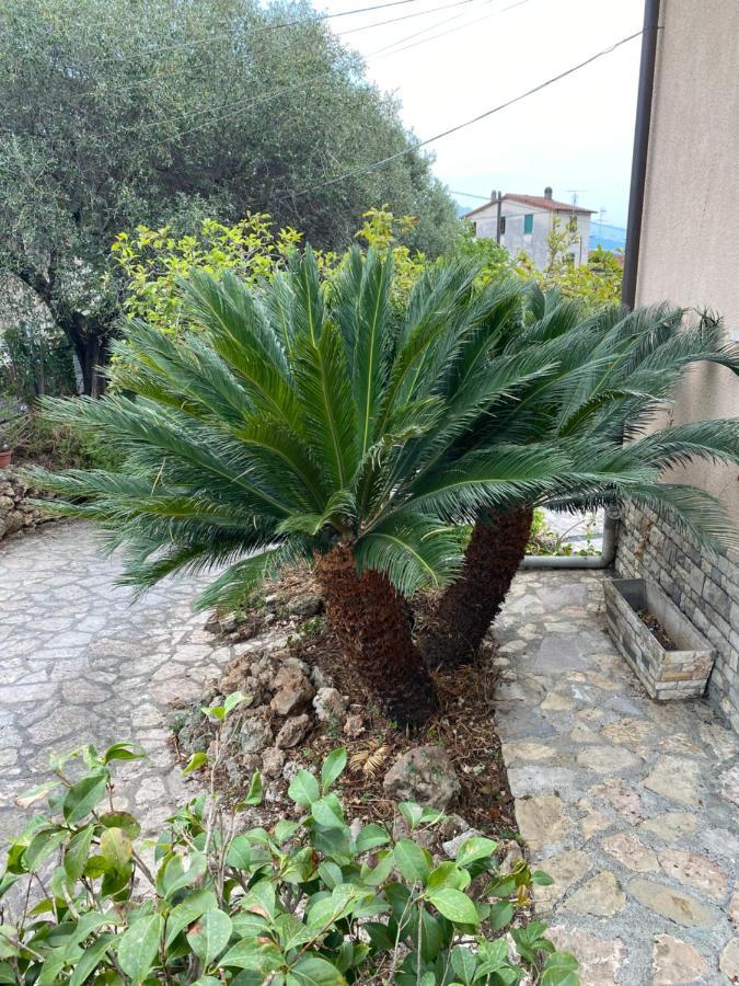 Apartamento Il Giardino Delle Cycas Romito Magra Exterior foto